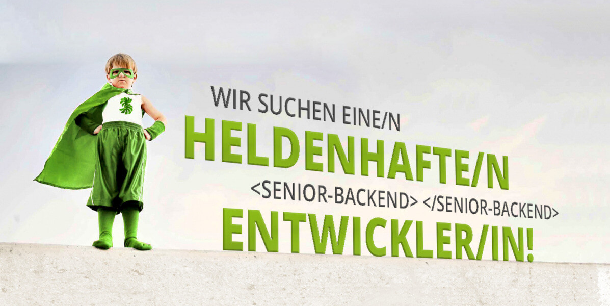 smake_hero_backend_entwickler Heldenhafte/r Backend-Entwickler/In!