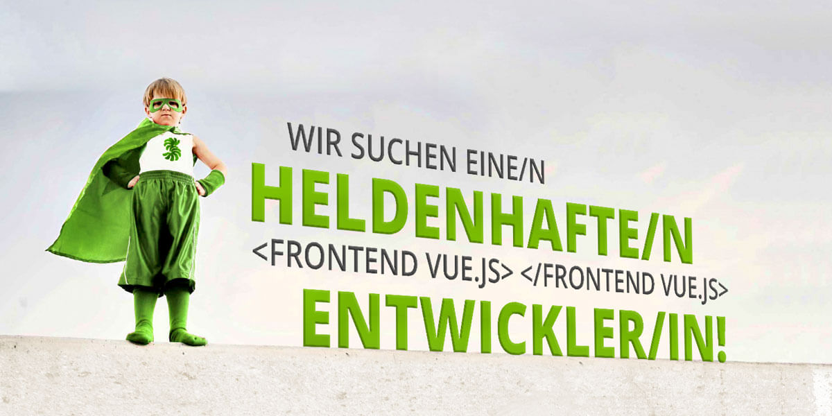 Heldenhafte/r Entwickler/In!